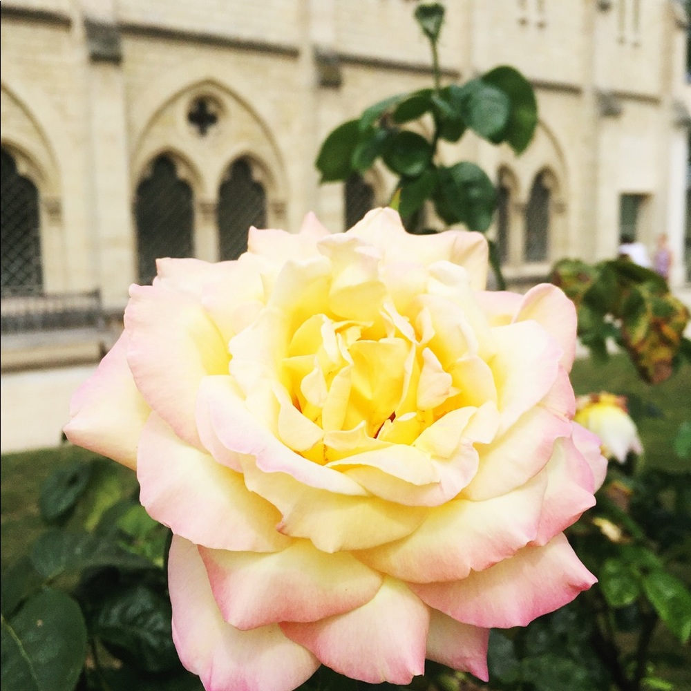 Meet your Posher, Janet